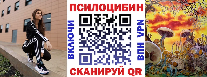 магазин продажи наркотиков  Малая Вишера  Галлюциногенные грибы мицелий 